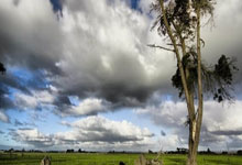 石家庄 私借 空放 15832103778 私人借款 借钱 急用钱 个人借款 小额贷款 无抵押 当天下款